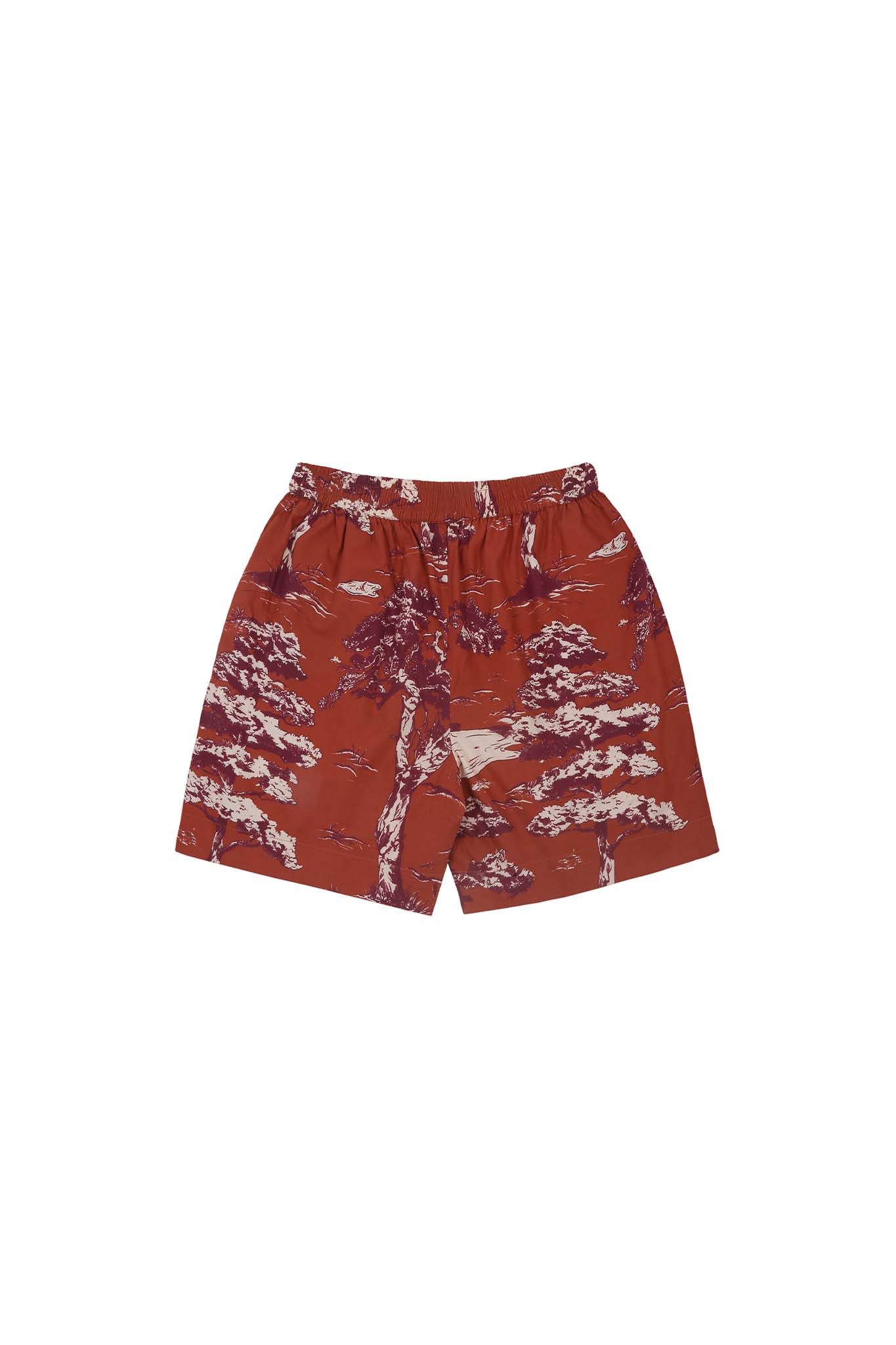 Rainforest Shorts (Red)